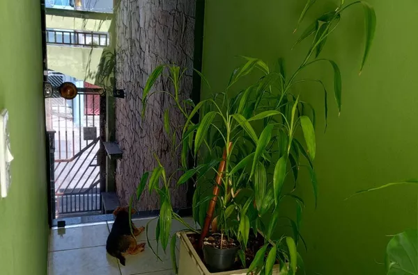 Sobrado para venda, 4 quarto(s),  Jardim Sao Nicolau, São Paulo