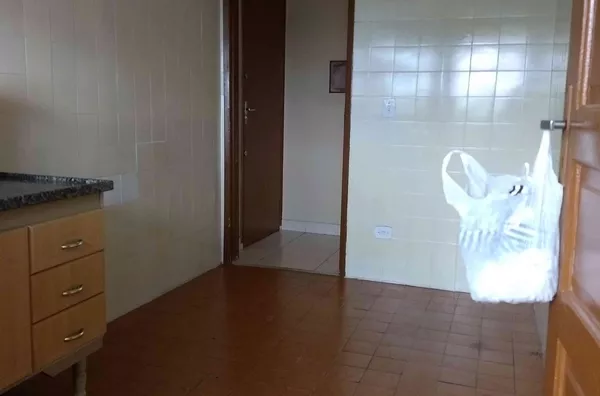 Apartamento localizado na Avenida Águia de Haia, com 02 dormitórios, sala grande, cozinha, banheiro e área de serviço - 01 vaga de garagem.