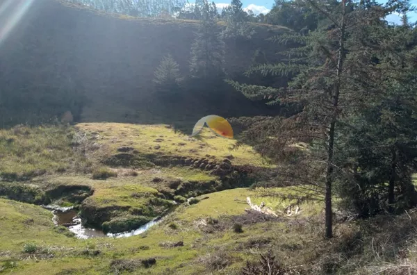 VENDE-SE TERRENO C/14 ALQUEIRES E MEIO. 