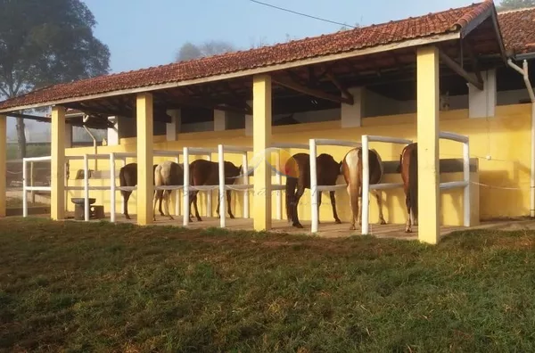 VENDO EXCELENTE FAZENDA EM PARAISOPÓLIS 