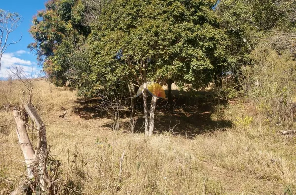 VENDE-SE LOTES NO JARDIM DAS ALTEROSAS