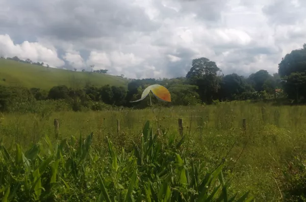 VENDO TERRENO NO BAIRRO SÃO PEDRO