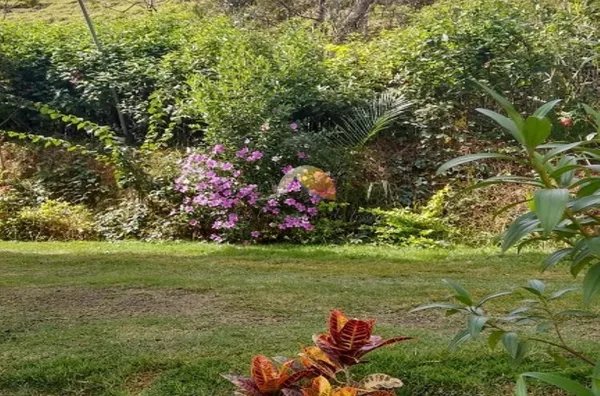 VENDO OU ALUGO CHÁCARA PARA TEMPORADA