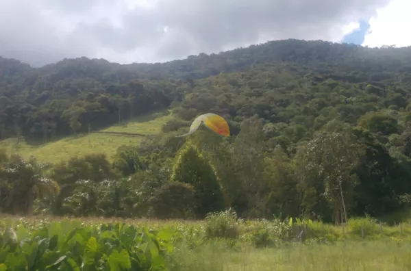 VENDO TERRENO NO BAIRRO SÃO PEDRO