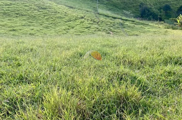VENDO ÓTIMO TERRENO EM PIRANGUINHO!