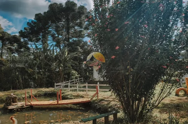 VENDO SÍTIO MARAVILHOSO EM DELFIM MOREIRA!