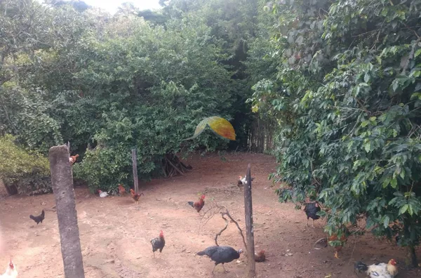 VENDE-SE ÓTIMO TERRENO NO BAIRRO SANTA ROSA