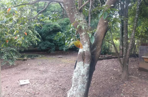 VENDE-SE ÓTIMO TERRENO NO BAIRRO SANTA ROSA