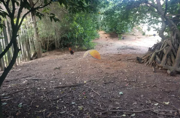 VENDE-SE ÓTIMO TERRENO NO BAIRRO SANTA ROSA