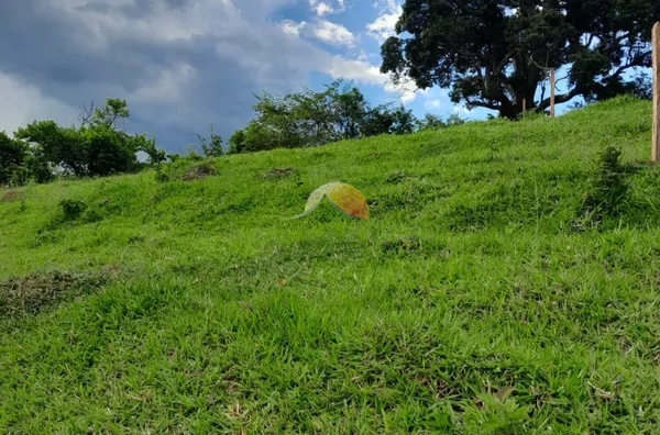VENDO ÓTIMO TERRENO EM PIRANGUÇU