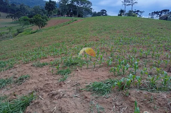 VENDO EXCELENTE TERRENO NO BAIRRO BIGUÁ 