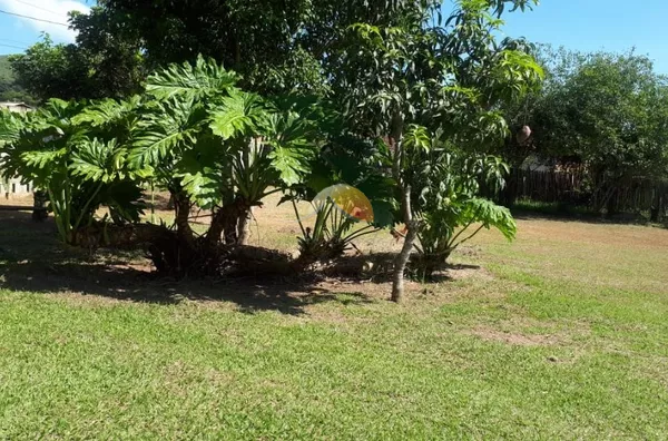 VENDO CHÁCARA EM PIRANGUINHO