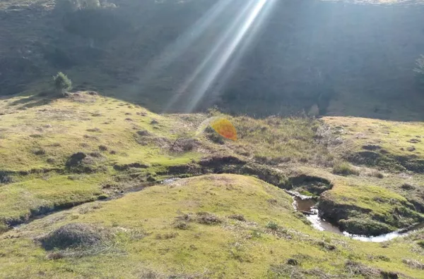 VENDE-SE TERRENO C/14 ALQUEIRES E MEIO. 