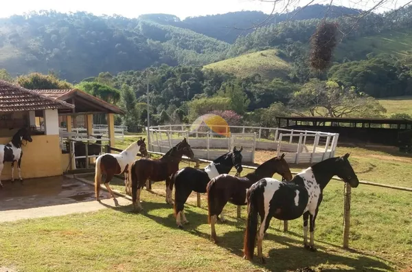 VENDO EXCELENTE FAZENDA EM PARAISOPÓLIS 