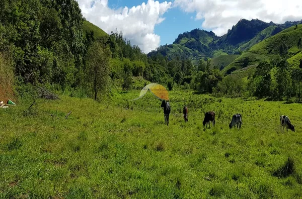 TERRENO TERREO(A) para venda BARREIRO Delfim Moreira