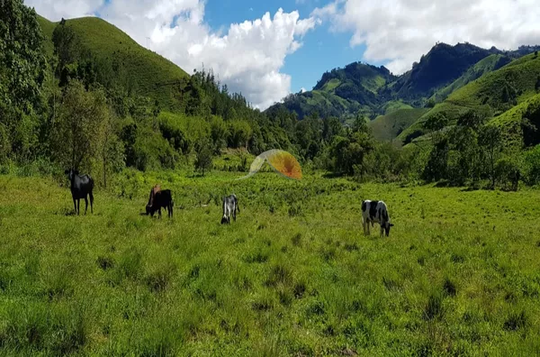 TERRENO TERREO(A) para venda BARREIRO Delfim Moreira