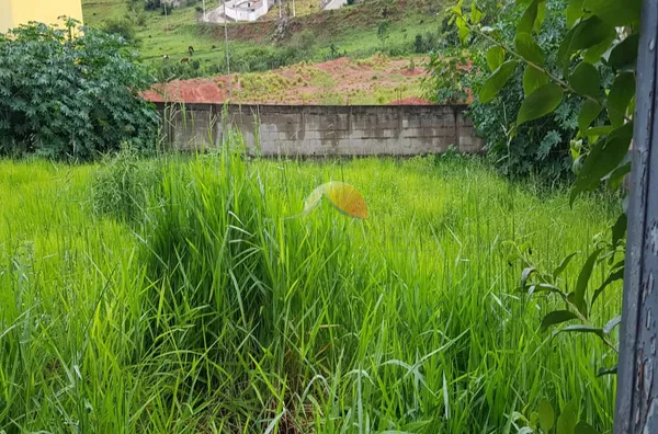 TERRENO TERREO(A) para venda Jardim das Palmeiras Itajubá