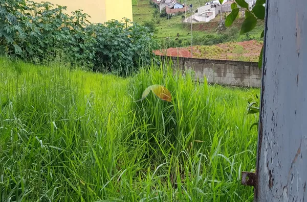 TERRENO TERREO(A) para venda Jardim das Palmeiras Itajubá