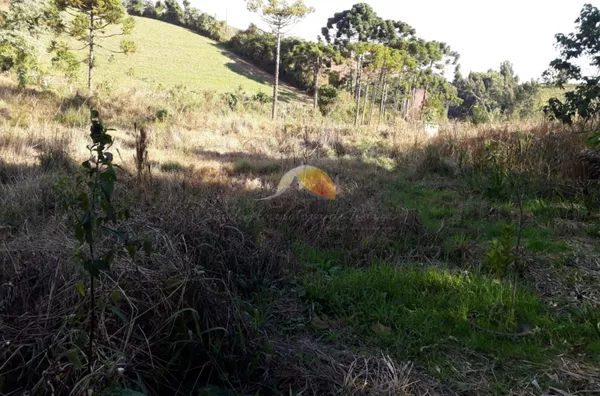 VENDE-SE CHÁCARA EM MARIA DA FÉ