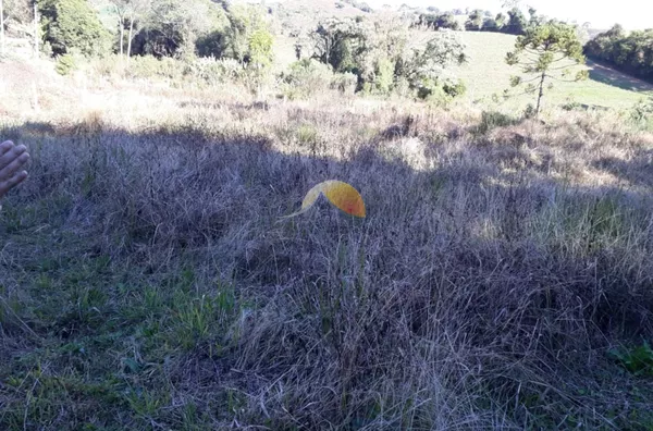 VENDE-SE CHÁCARA EM MARIA DA FÉ