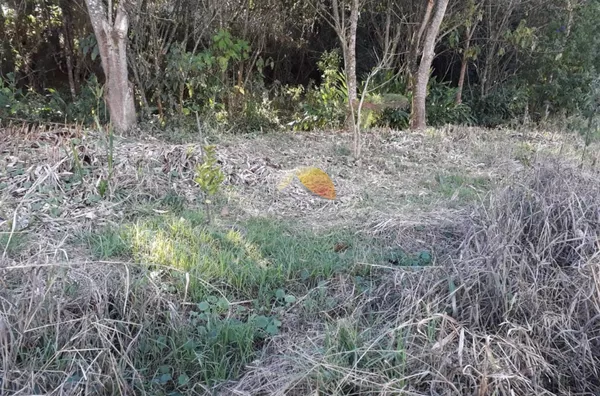 VENDE-SE CHÁCARA EM MARIA DA FÉ