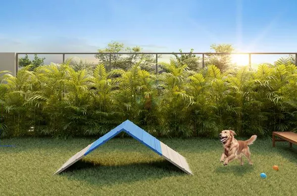 Pet place
