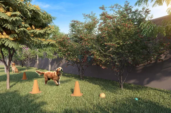 Pet place