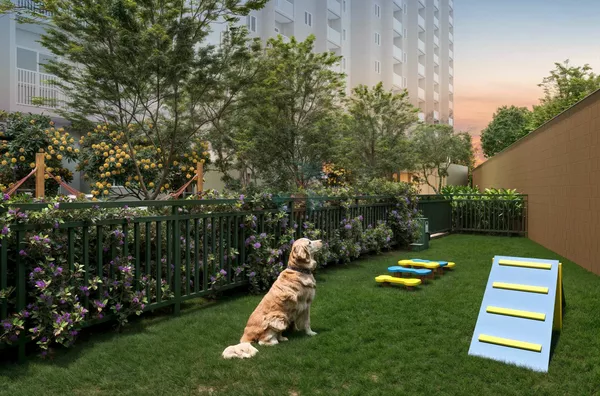 Pet place
