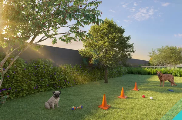 Pet place