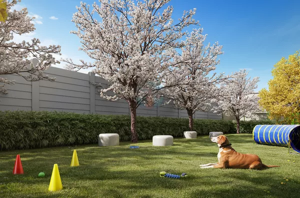 Pet place
