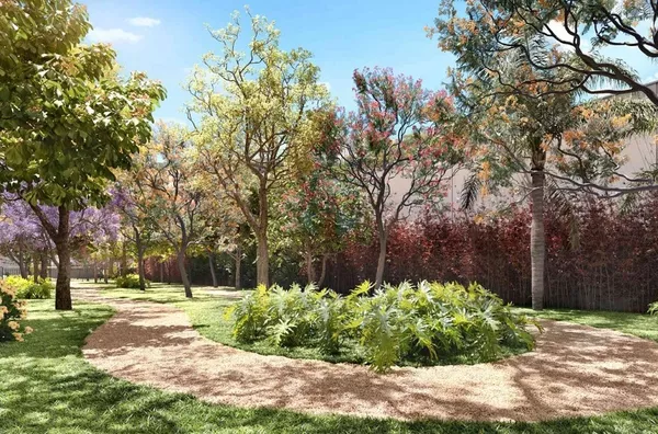 Bosque