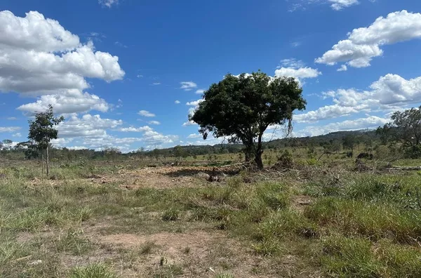 Fazenda disponível para venda, 10 Alqueires, VS 52, Canaã Dos Carajás/PA