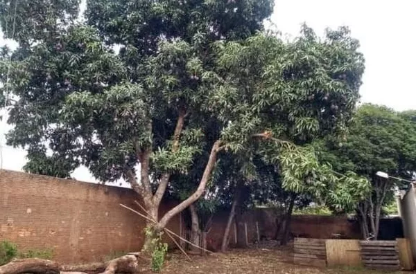 CA2804-Casa para venda na Vila Ouro Verde em Assis