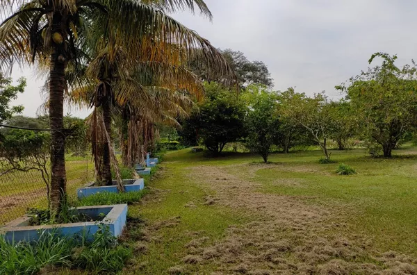 CH1332 - Chácara para venda na Água do Baixadão em Assis