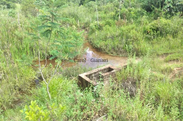 SI1749 - Sítio para venda em Lutécia 