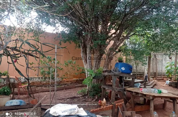 TE1170 - Terreno a venda,  Vila Tenis Clube, Assis - Foto 11