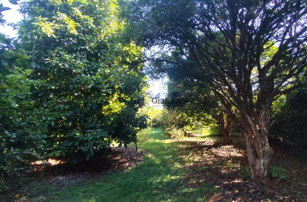 CH2658 - Chácara para venda em Assis