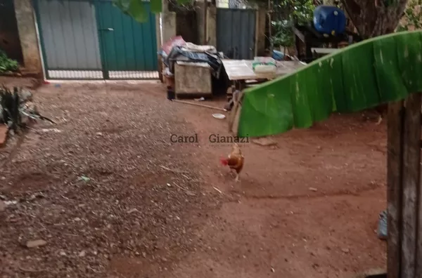 TE1170 - Terreno a venda,  Vila Tenis Clube, Assis