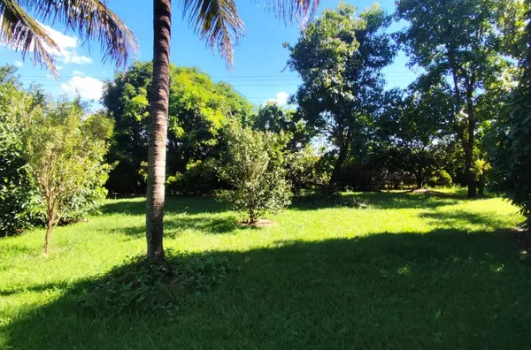 CH2658 - Chácara para venda em Assis