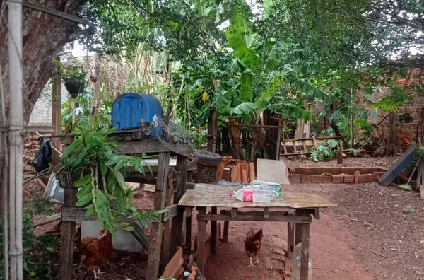 TE1170 - Terreno a venda,  Vila Tenis Clube, Assis - Foto 16