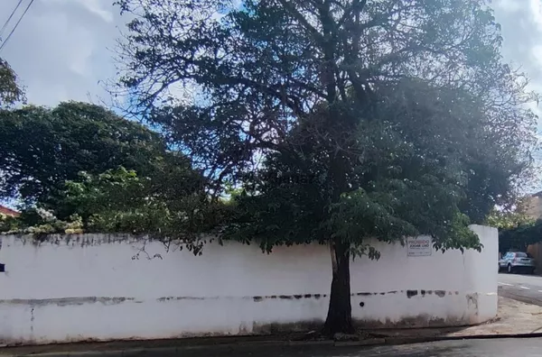 TE1266 - Terreno à venda no centro de Assis