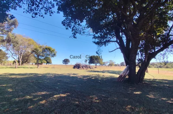 SI2210- Sítio para venda na Estrada Assis X Marília