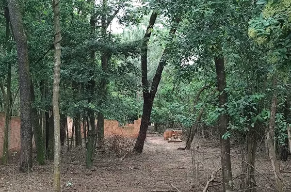 CH2509- Chácara para venda no Jardim Rezende Assis