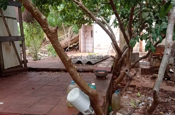 TE1170 - Terreno a venda,  Vila Tenis Clube, Assis