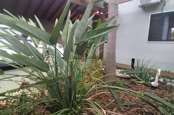 CA2969 - Casa para venda na Cohab Rodoviaria em Assis - Foto 33