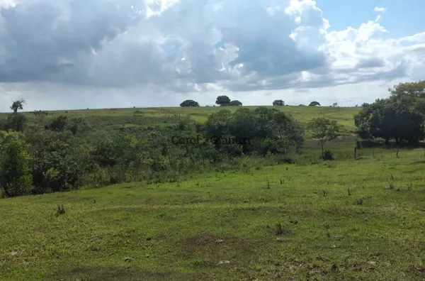 SI1749 - Sítio para venda em Lutécia 