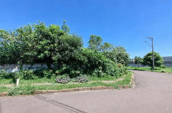 TE2692- Terreno para venda no Parque Universitário em Assis - Foto 1