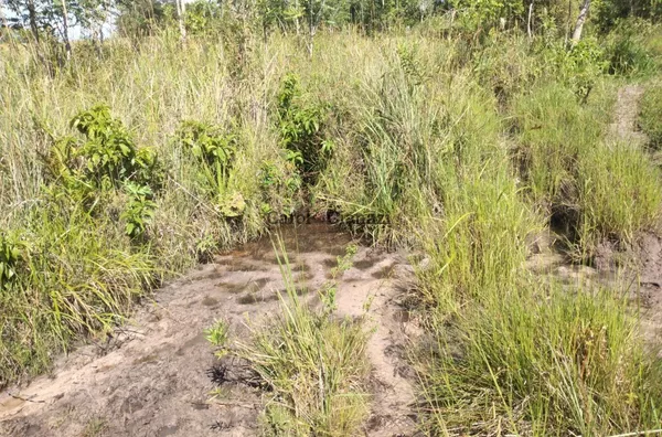 SI1749 - Sítio para venda em Lutécia 