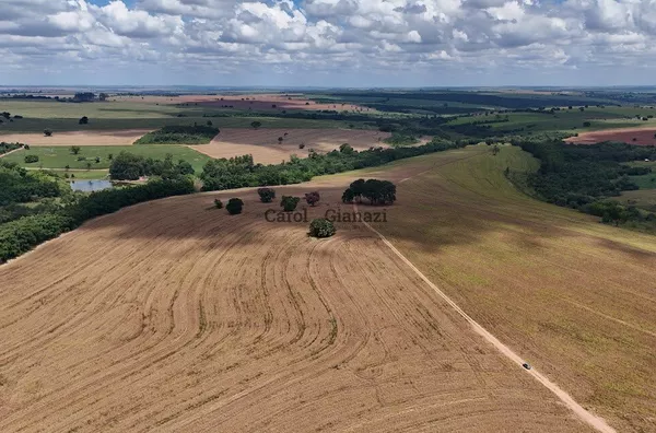 FA2223- Fazenda para venda Na Estrada Assis x Marília cidade de Echaporã
