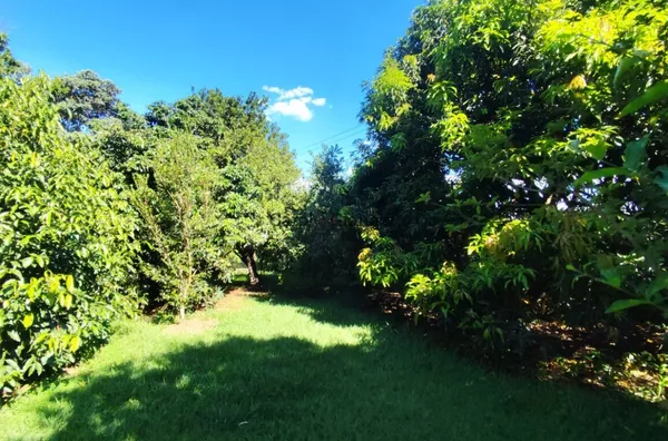 CH2658 - Chácara para venda em Assis